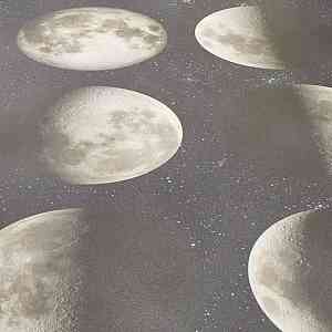 Линолеум FORBO SureStep Цифровая печать 17982 moon фото ##numphoto## | FLOORDEALER